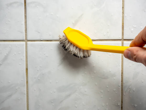 Best Commercial Mold Removal  in Yuipa, CA