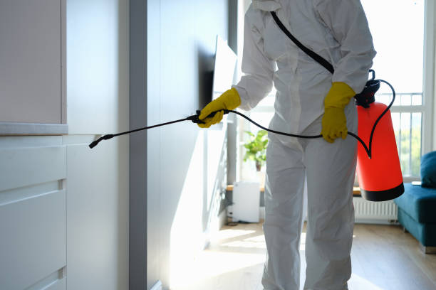 Best Crawl Space Mold Removal  in Yuipa, CA