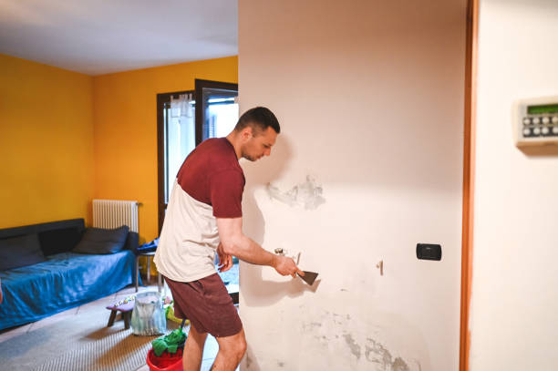 Best Fast Mold Removal  in Yuipa, CA